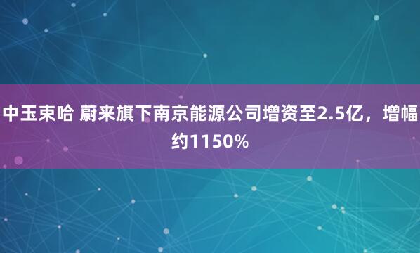 中玉束哈 蔚来旗下南京能源公司增资至2.5亿，增幅约1150%