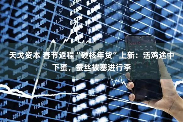 天戈资本 春节返程“硬核年货”上新：活鸡途中下蛋，蚕丝被塞进行李